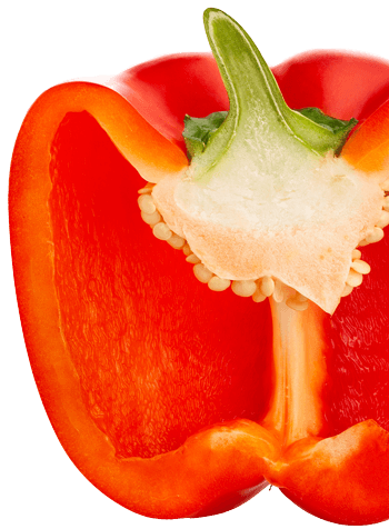 Laptop SHBlackwell RedPepper iStock 1147073709