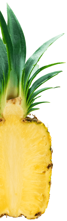 Tablet SHBlackwell Pineappple iStock 182432931