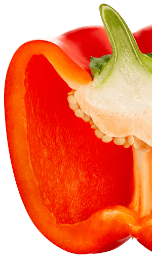 Tablet SHBlackwell RedPepper iStock 1147073709